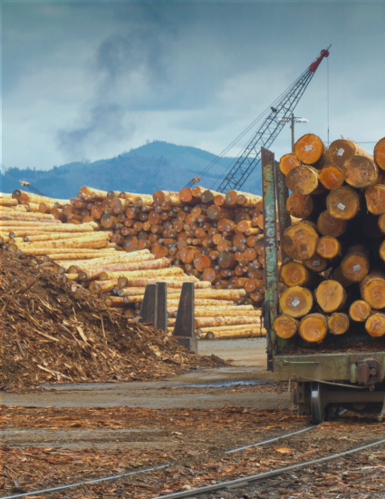 Optimized End-to-End Supply Chain Transportation Operations